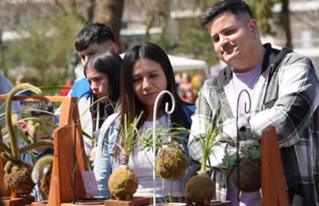Feria bot�nica